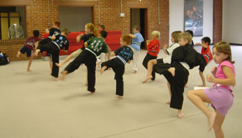 Kids Class at the Brown Institute of Martial Arts