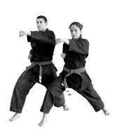 ICS, Integrated Combative System