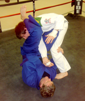 JuJitsu at The Brown Institute of Martial Arts