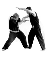 Kali at The Brown Institute of Martial Arts