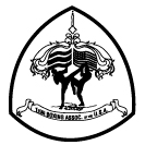 Muay Thai Kickboxing at the Brown Institute of Martial Arts